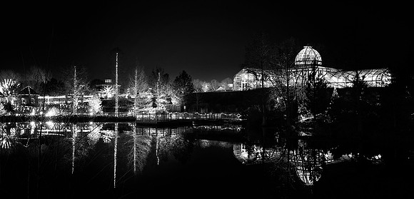 Lewis Ginter at NIght